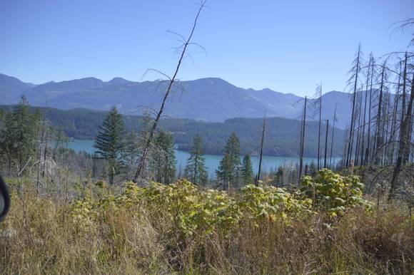 Looking east across Harrison lake