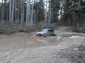rovers AND labs are hard to keep out of the water!