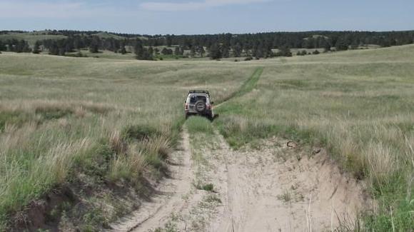 RoveringThe Sandhills WithAmyJune2014 1278 (1800x1009)