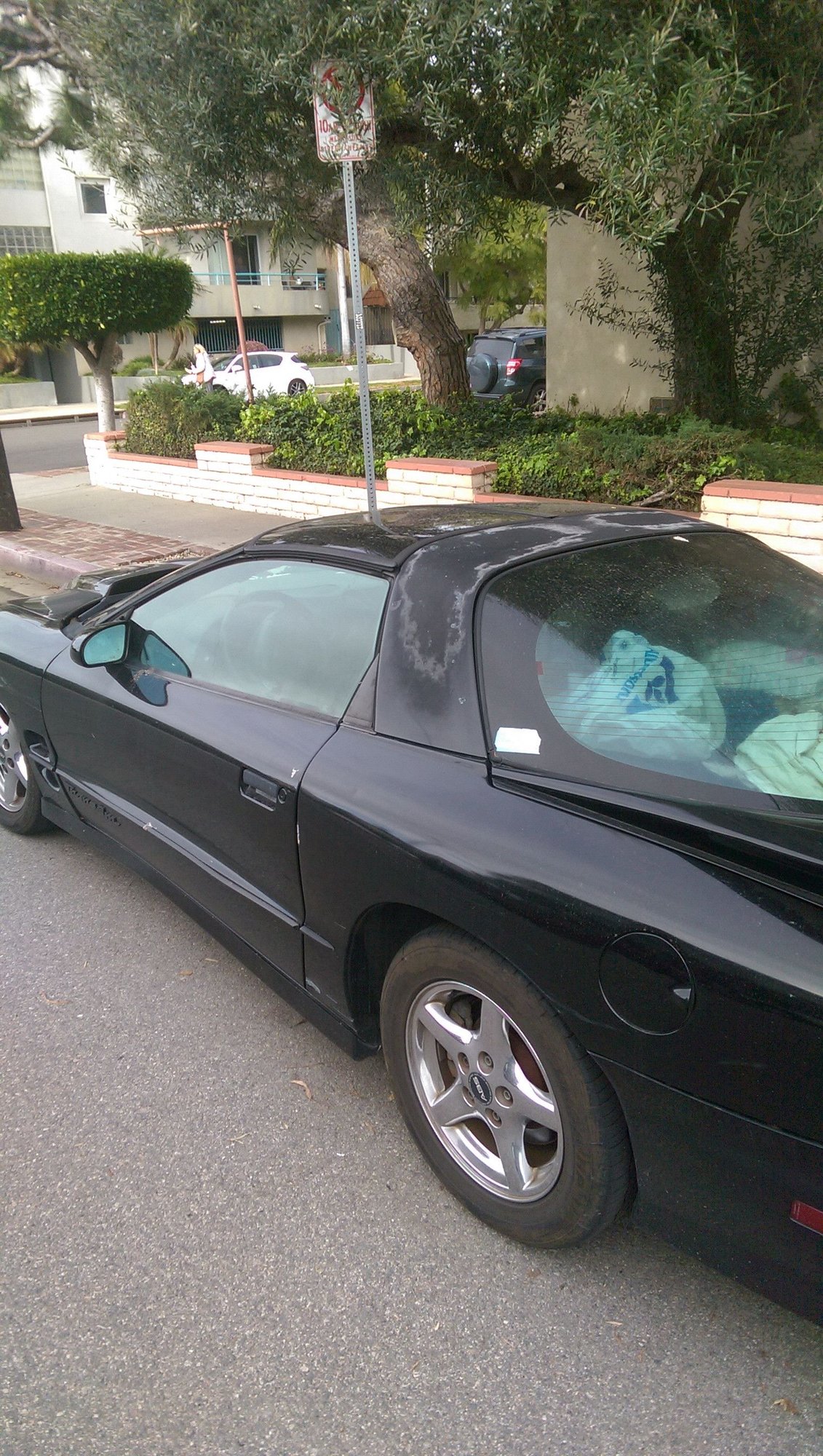 1999 Pontiac Firebird - Rough-looking Trans Am, Priced to Sell Now - Used - Los Angeles, CA 90066, United States