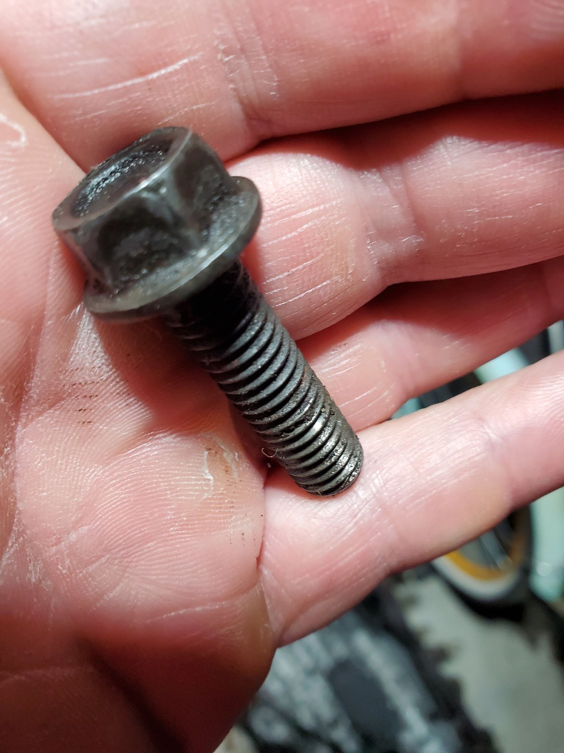 No shank under head. Threaded full length.