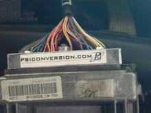 PSI  conversion harness