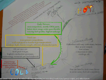 To help understand EGT relationship