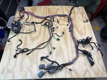 This is how I have the harness laid out. Note the big black plug going to the controller plugs? What is that for?