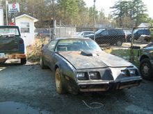 basket case 81 Turbo Trans Am