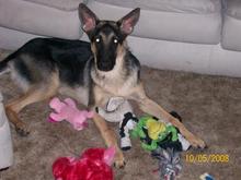 Princess Akyra Darling