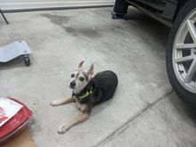 My supervisor and safety officer