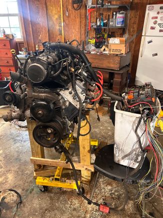 Test run stand setup