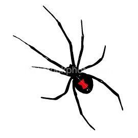 ist2 172401 black widow spider