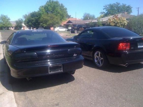 Me and my buddies Cobra