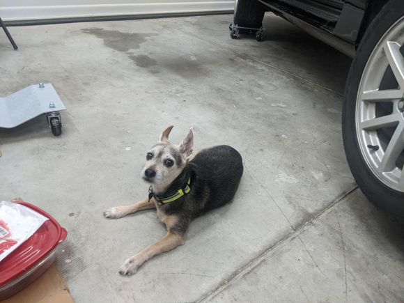 My supervisor and safety officer