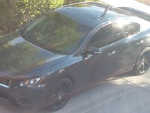 The Decepticon Beast.  Looks pretty much stock but sounds and moves like a beast. Borla exhaust and stillen under the hood....I love this car!!!