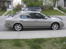 bone stock