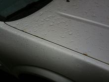 Hood Rust