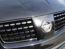 Painted OEM grille