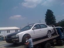 THIS WAS MY CAR I PASSED ON TO MY SON,SHE WAS TAKEN AWAY BY THE INSURANCE COMPANY 189,000 MILES AND PURRED LIKE A BABY.I LOVED THIS CAR SHE NEVER GAVE ME ANY PROBLEM'S !!! THIS CAR IS THE REASON WE HAVE OWNED NISSAN MAXIMA AND,COULD NEVER OWN ANYTHING ELSE.WE DO USE 5.0 MUSTANG FOX BODIES FOR RACE USE ONLY.