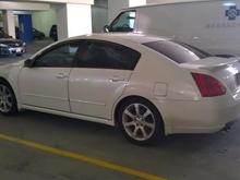 2007 Maxima (Salt)