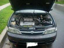 Maxima wit her lights out...