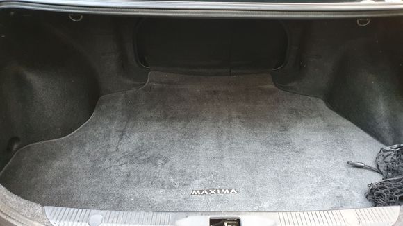 new trunk liner