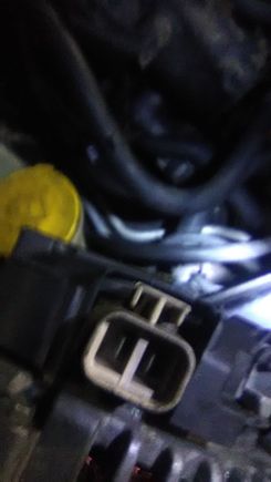 This is the plug on the 05 maxima alternator I got. Looks like it's different from mine and plug won't fit.