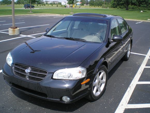 Maxima1