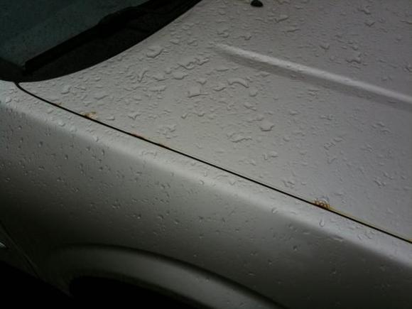 Hood Rust