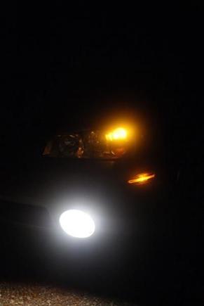 All stock lights
