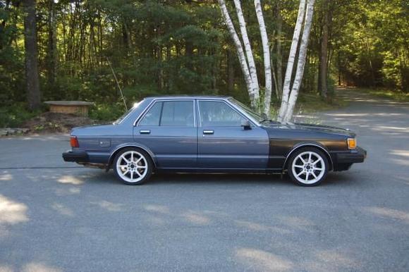 maxima 003
