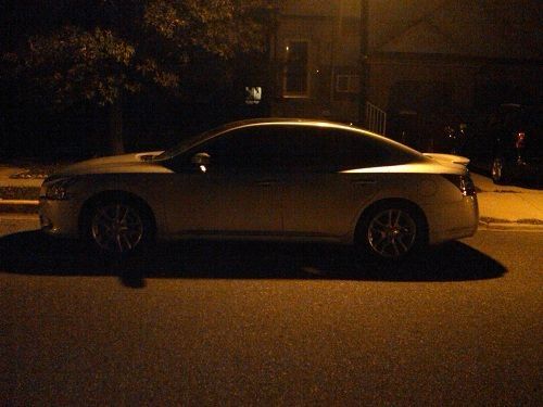 Gladius