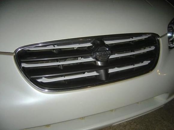 painted grille to match car