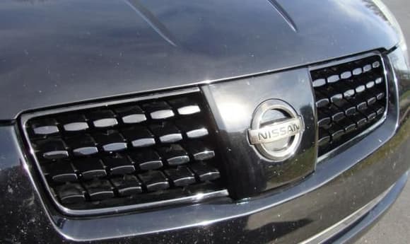 Painted OEM grille