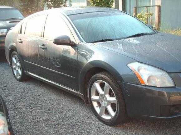 HPIM0494 '07 Maxima SL,had to get the '06 SE wheels 'cause the SL are fugly.