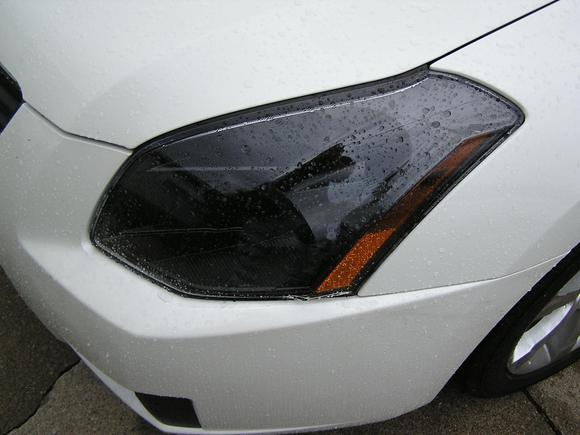 Max LF headlight Blacked out