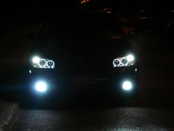 HALOS WITH FOGLIGHTS. HALOS ON WITH THE PARKING LIGHT AND MODIFIED THE FOGS TO COME ON WITH THE HALOS.