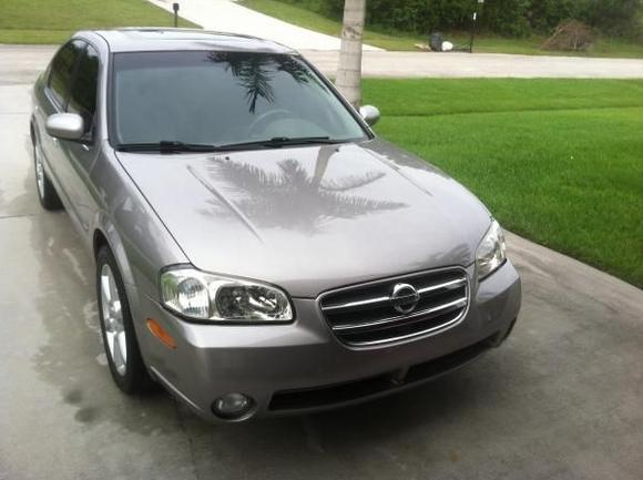 Vic's phone pics 044