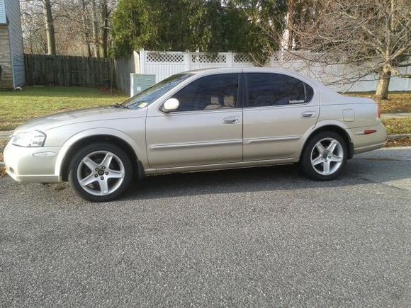 New Tint
