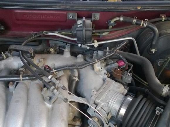 95 Fed EGR System #1
