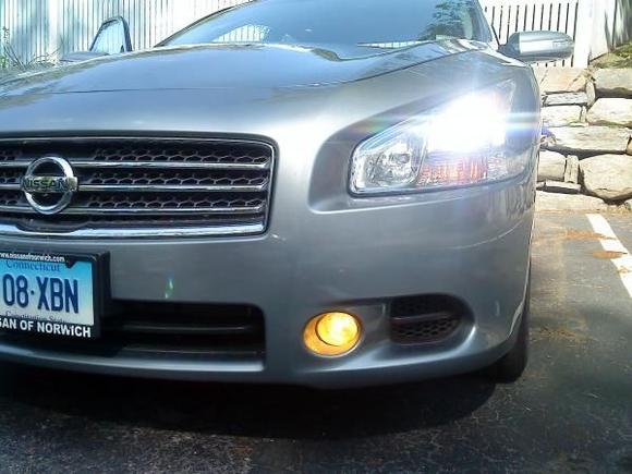 Yellow Fogs