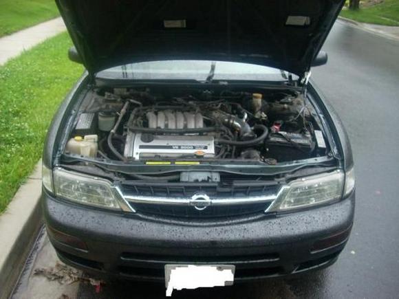 Maxima wit her lights out...