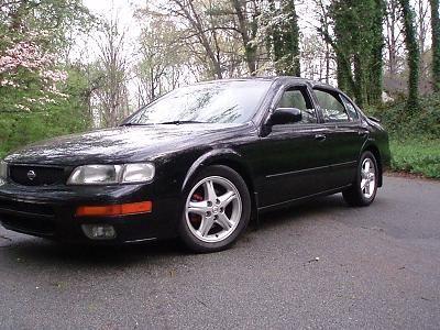 maxima 007