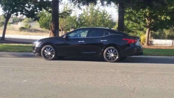 Splitter by Stillen