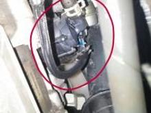 Bottomed out and broke this part on my 2010 Mini Cooper S. Does anybody know what this is?