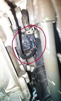 Bottomed out and broke this part on my 2010 Mini Cooper S. Does anybody know what this is?