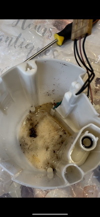 dirt that has accumulated in the lower part of the module and has not passed through the strainer