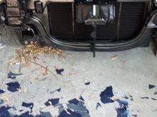 the 