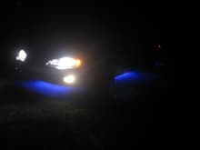 HIDs and LEDs