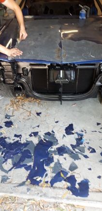 the 