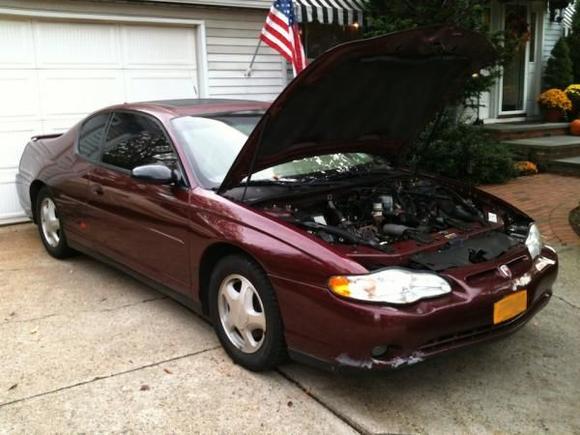 My baby with a blown rod :(
