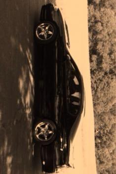 photo (3)