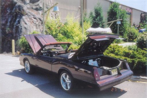 My Pictures0040